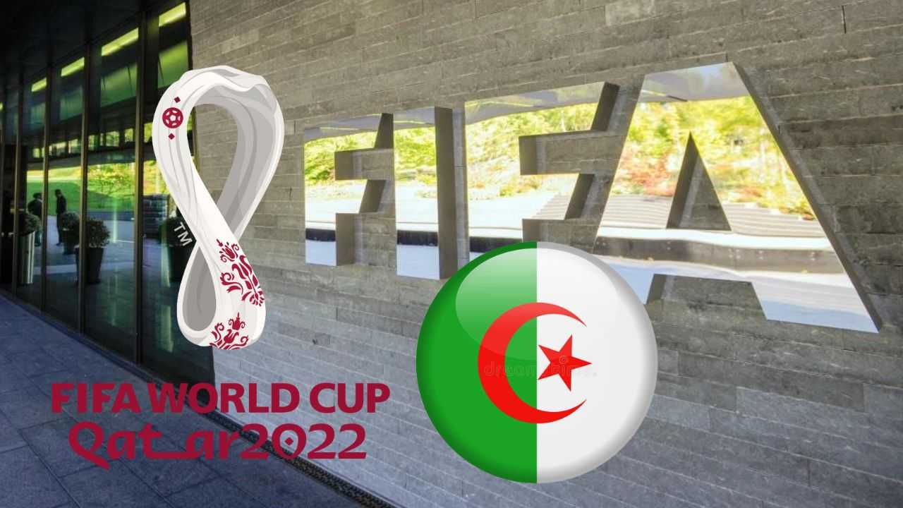 Coupe du monde 2022 : un consultant français déplore l’absence des Verts