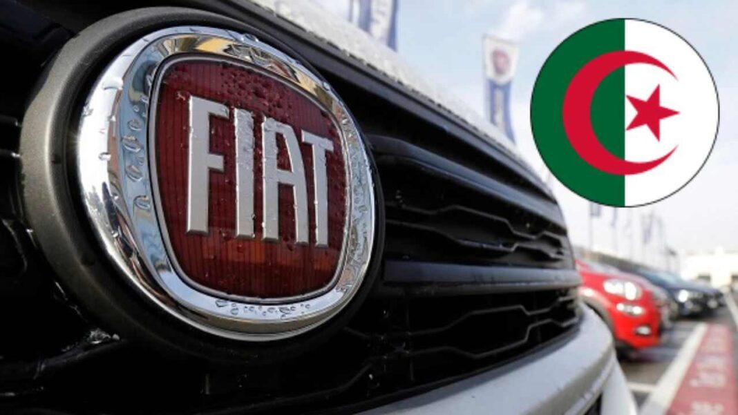 Logo Fiat sur une voiture dans un concessionnaire en Algérie.