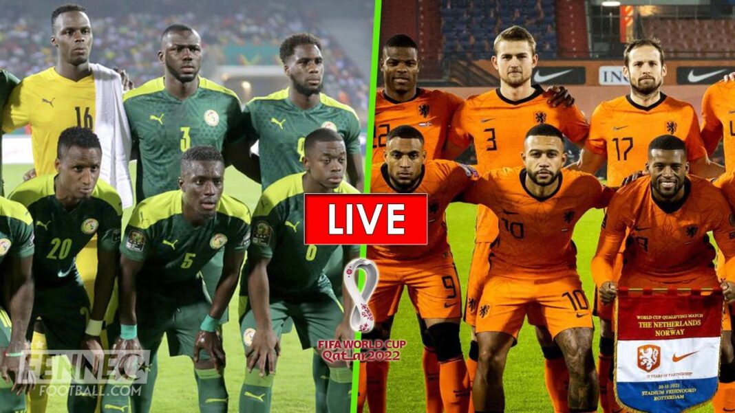 Équipes nationales de football du Sénégal et des Pays-Bas en préparation pour la Coupe du Monde 2022.