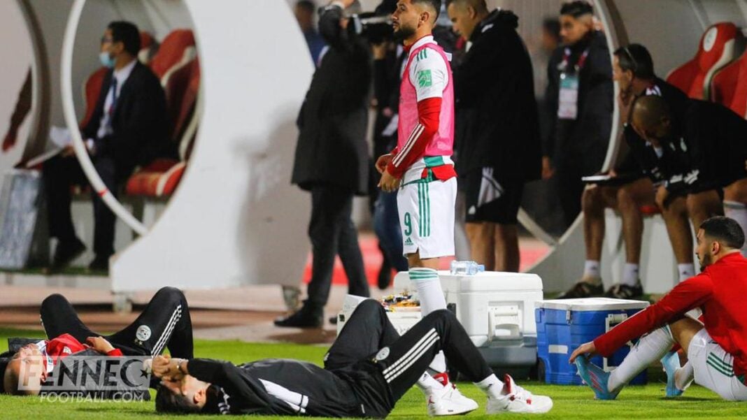 Coupe du monde : Un média camerounais se moque à nouveau de l’équipe d’Algérie pour cette raison Joueur algérien assis sur le banc pendant la Coupe du Monde.