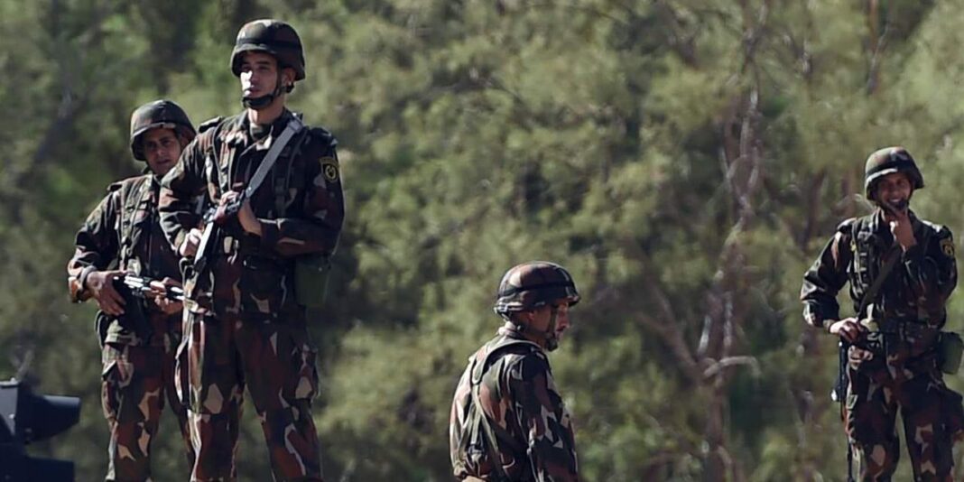 Soldats en patrouille dans une zone boisée en Algérie.