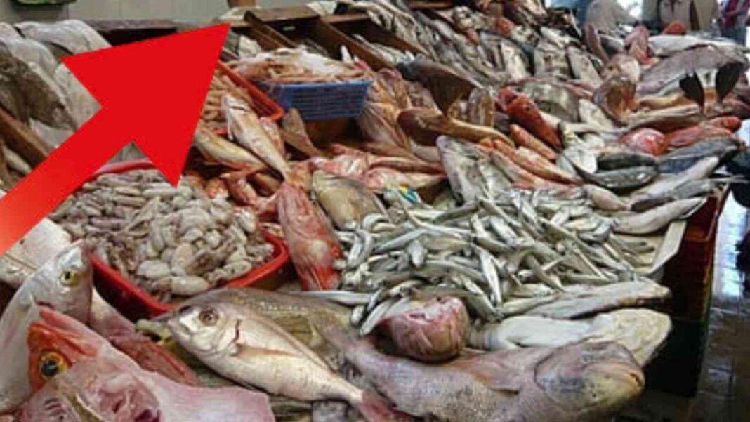 Algérie : le prix du thon rouge prévu pour baisser en 2023 Poissons frais et fruits de mer exposés dans un marché algérien.