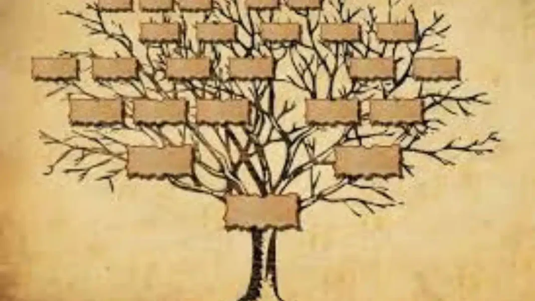 Arbre généalogique ancestral Arbre généalogique avec branches et plaques pour retrouver ses ancêtres.