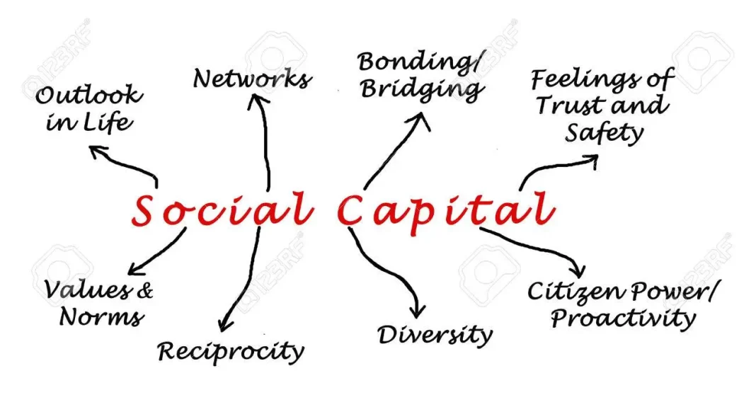Indice du capital social en Algérie Schéma illustrant les composantes du capital social en Algérie.