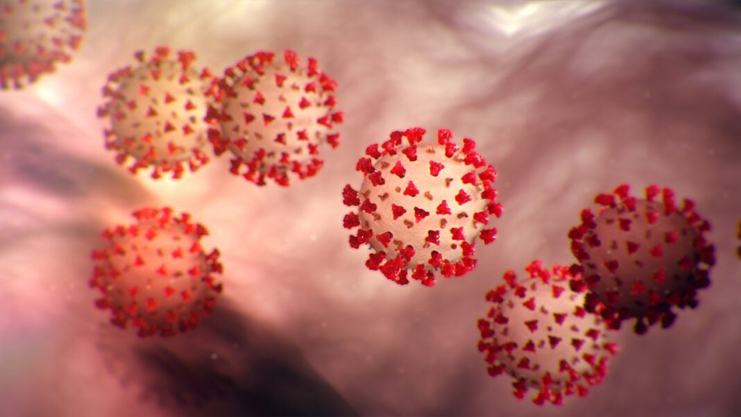 Covid-19 en Algérie : Une hausse enregistrée ce 14 décembre Représentation du virus COVID-19 avec des protéines rouges et roses.