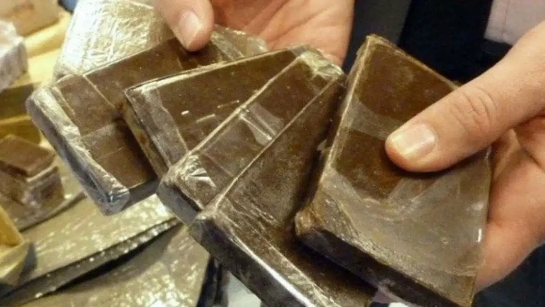 Blocs de drogue saisis lors d'une opération en Algérie.
