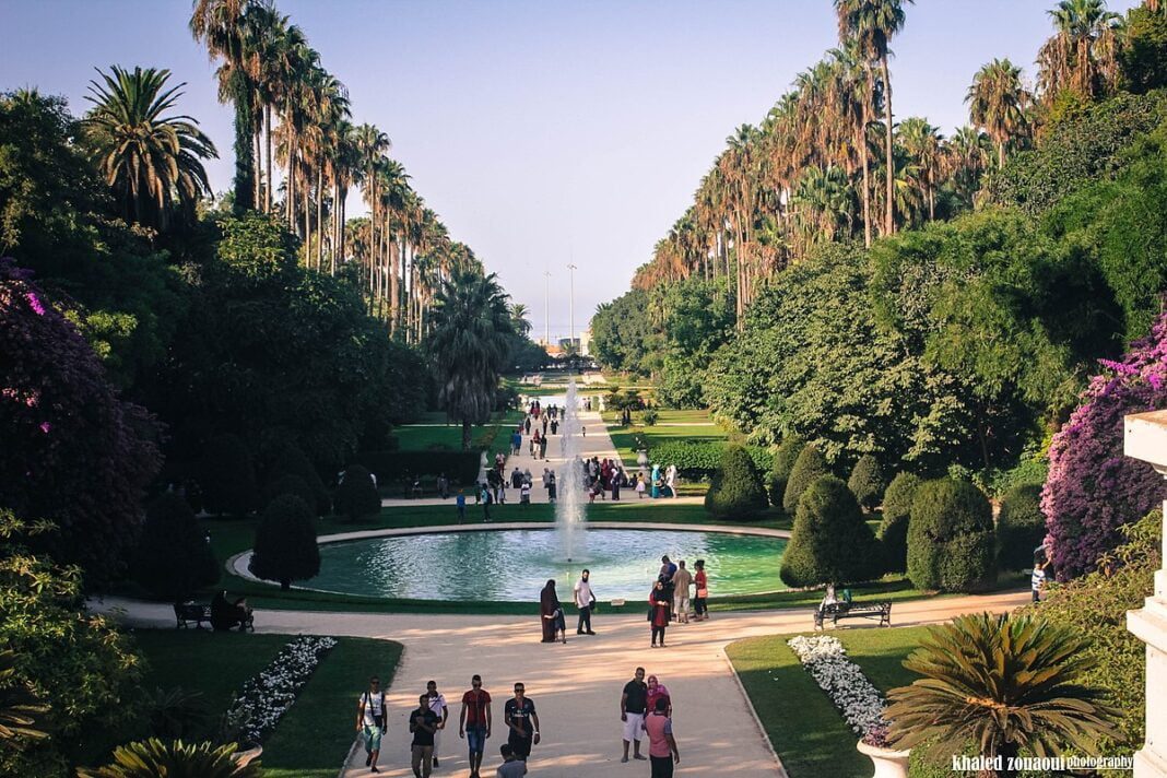 Vue du jardin d’Essai d’El Hamma avec palmiers et fontaine.