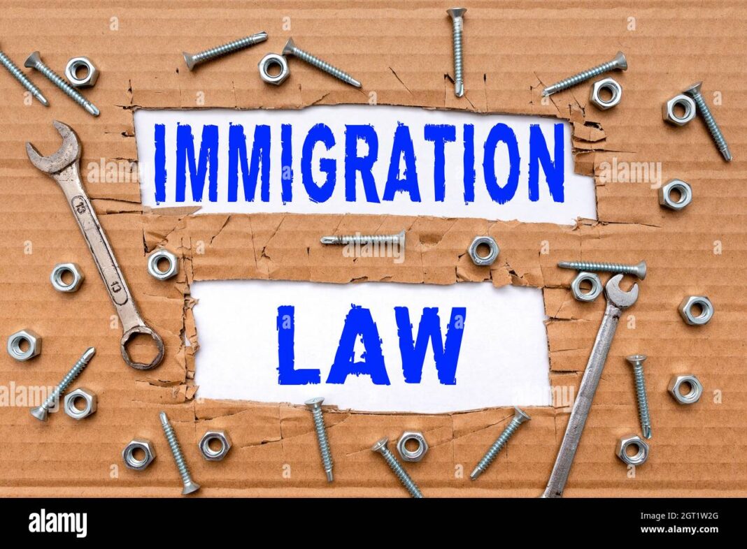 Signe 'Immigration Law' avec vis et outils sur bois.