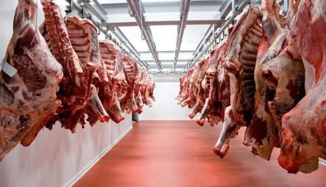 Viande de bœuf fraîche suspendue dans un abattoir moderne.