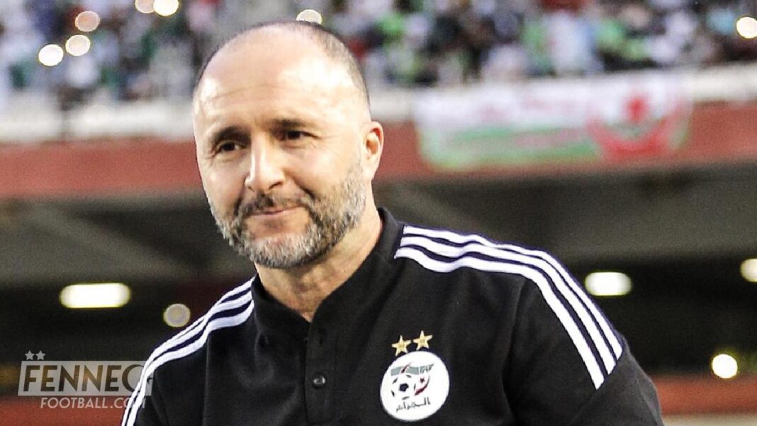 Equipe d’Algérie : la pièce maîtresse de retour, Djamel Belmadi en joie ! Djamel Belmadi, entraîneur de l'équipe d'Algérie, lors d'un match.