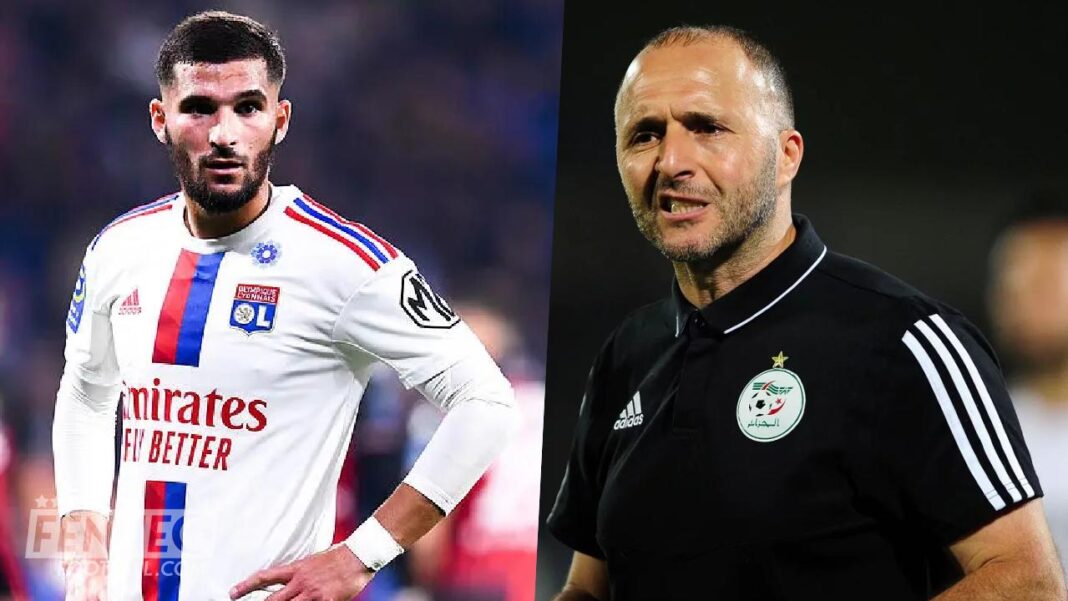Houssem Aouar et Djamel Belmadi lors d'un match de football.