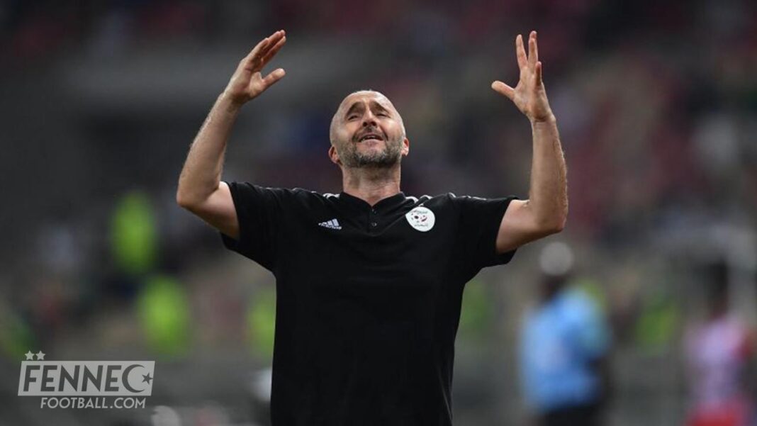 Équipe d’Algérie : Enfin, Belmadi a trouvé la pièce manquante de son effectif Coach Belmadi en célébration lors d'un match de football.