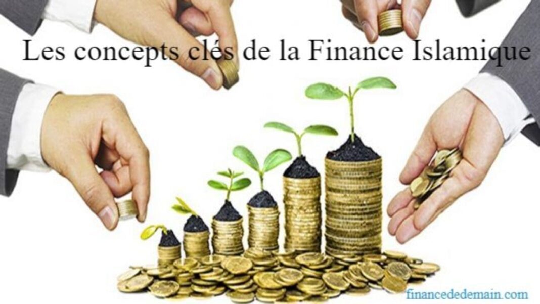 Finance islamique : les banques algériennes face à ce gigantesque défi Concept de croissance financière avec des plantes et des pièces de monnaie.