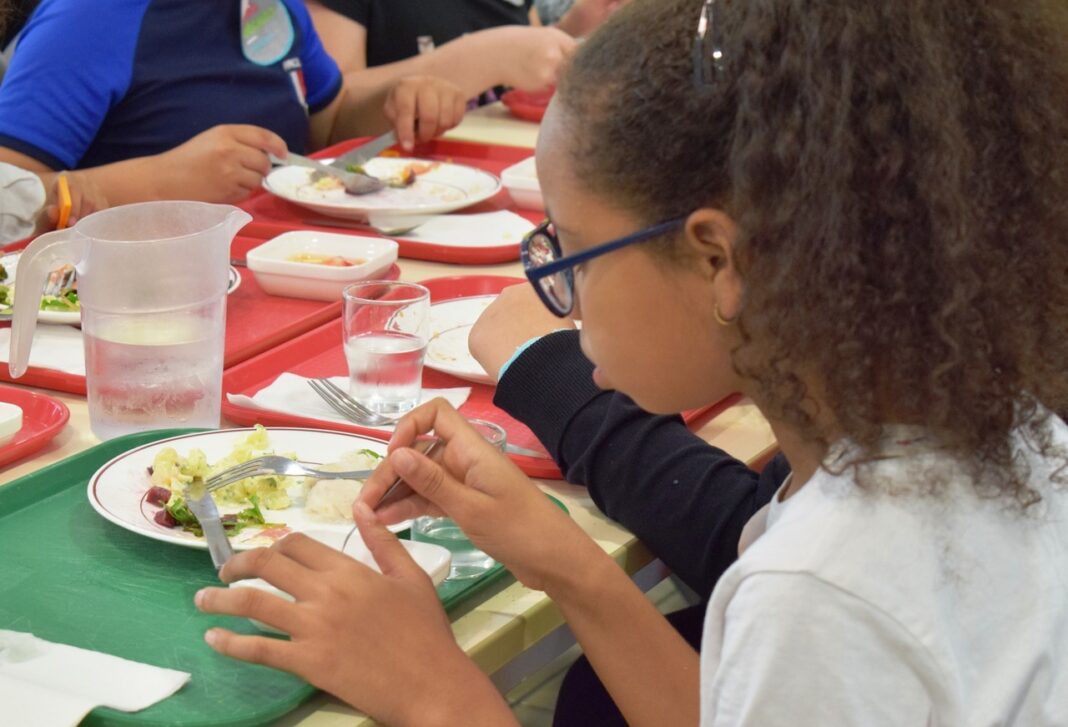 Intoxication alimentaire dans les écoles : le ministère prend des mesures drastiques Enfants à la cantine scolaire dégustant un repas équilibré.