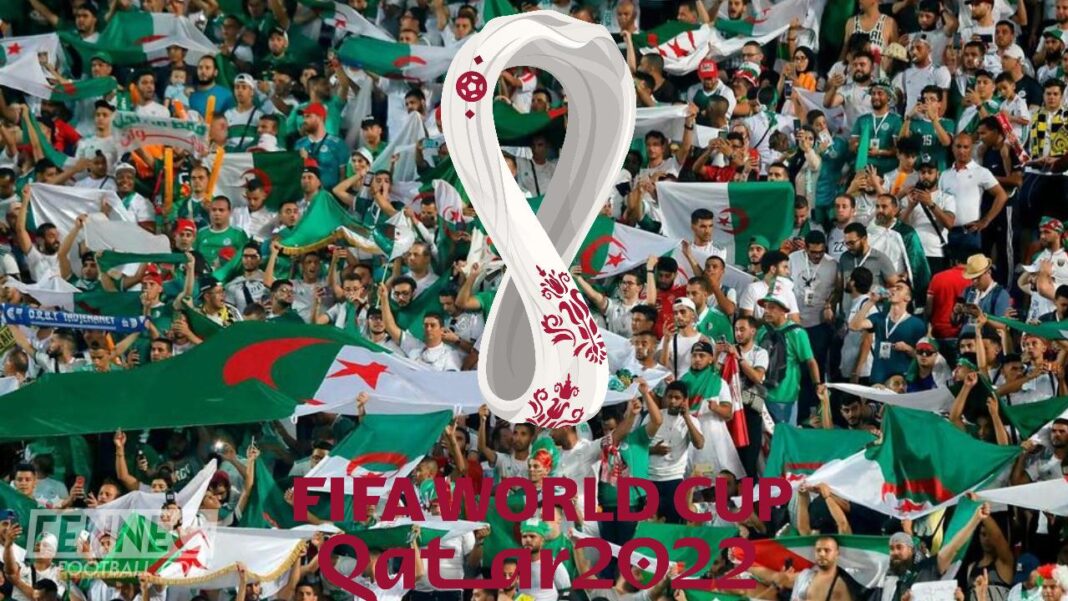 Coup de Tonnerre ! Les supporters algériens reçoivent un énorme coup de massue Supporters algériens avec drapeaux et écharpes lors de la Coupe du Monde 2022.