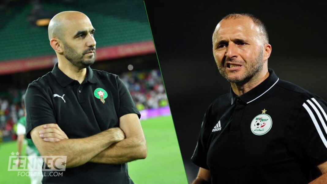 Belmadi et Regragui lors d'un match Belmadi et Regragui, entraîneurs de football, en action sur le terrain.
