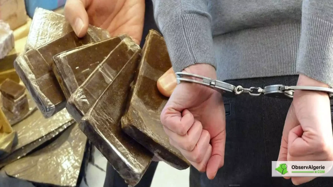 Algérie : un réseau de Trafic de drogues démantelé à El Taref Personne en garde à vue avec des blocs de drogue en main.