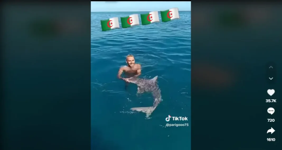 Algérie : Il nage avec un requin la vidéo fait le buzz Homme nageant avec un requin dans la mer en Algérie.
