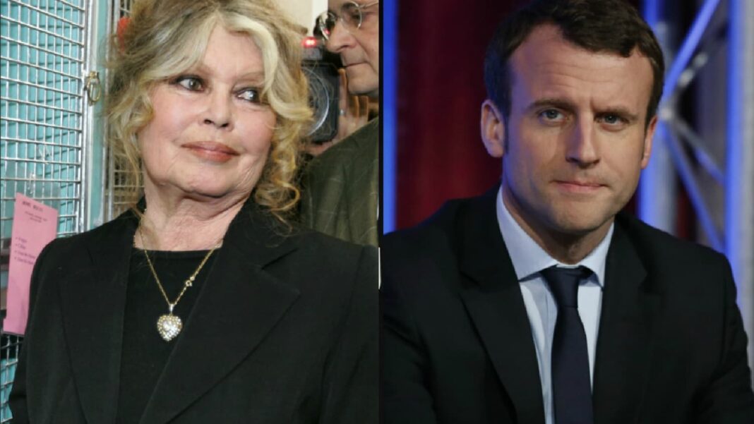 « Vous faites de la France une poubelle » : Brigitte Bardot dézingue Emmanuel Macron Brigitte Bardot et Emmanuel Macron lors d'un événement public.