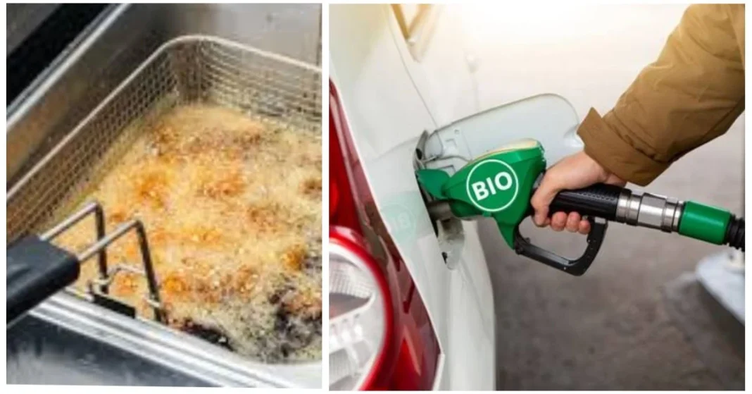 Incroyable ! Cette startup algérienne transforme l’huile de friture en biocarburant Conversion d'huile de friture en biocarburant dans une station-service.