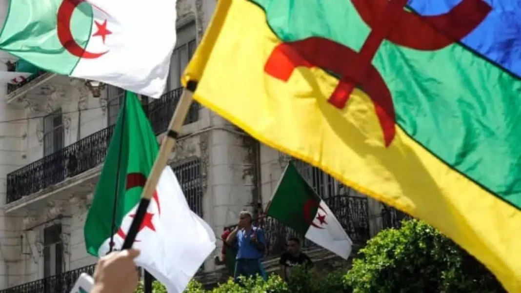 Appartenance des Kabyles à l’Algérie : la femme de ce Fennec livre l’une des plus belles réponses. Drapeaux algériens et kabyles lors d'une manifestation en ville.