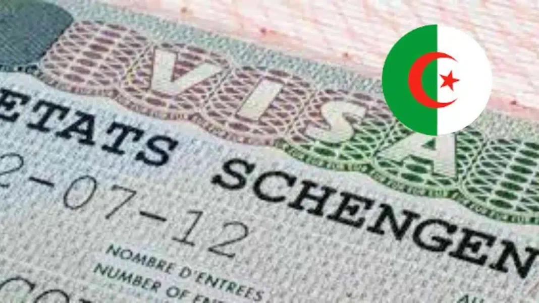 Visa Schengen : 48,2% des Algériens refusés Détails d'un visa Schengen pour l'Algérie avec drapeau algérien.
