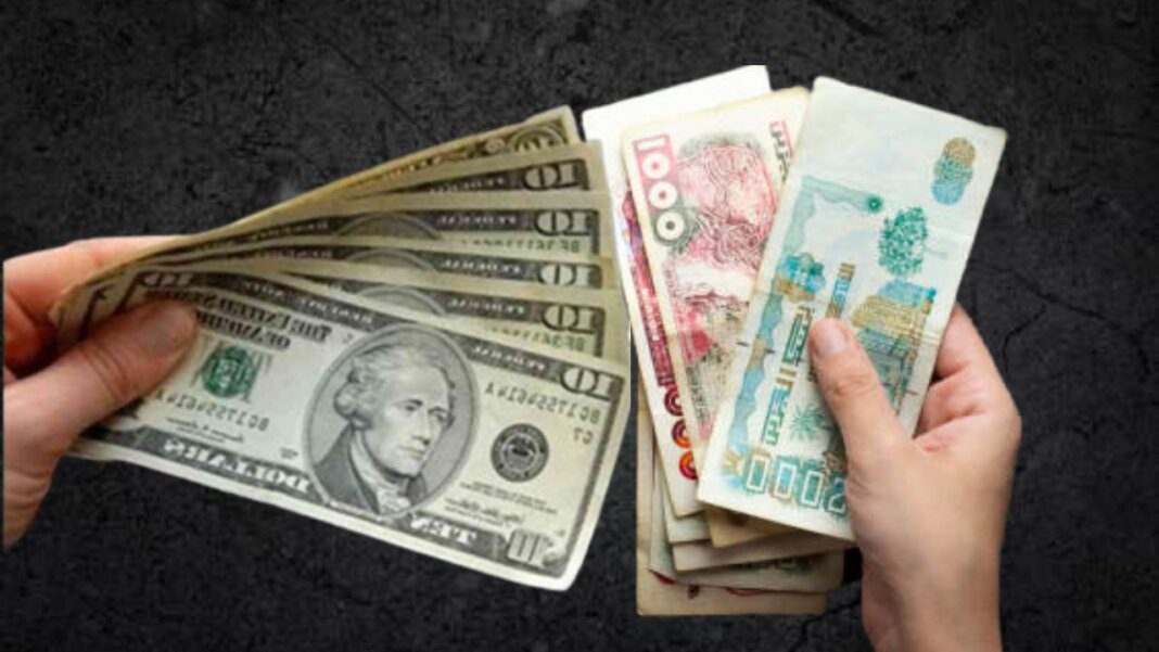Main tenant des billets de dollars et de dinars algériens.