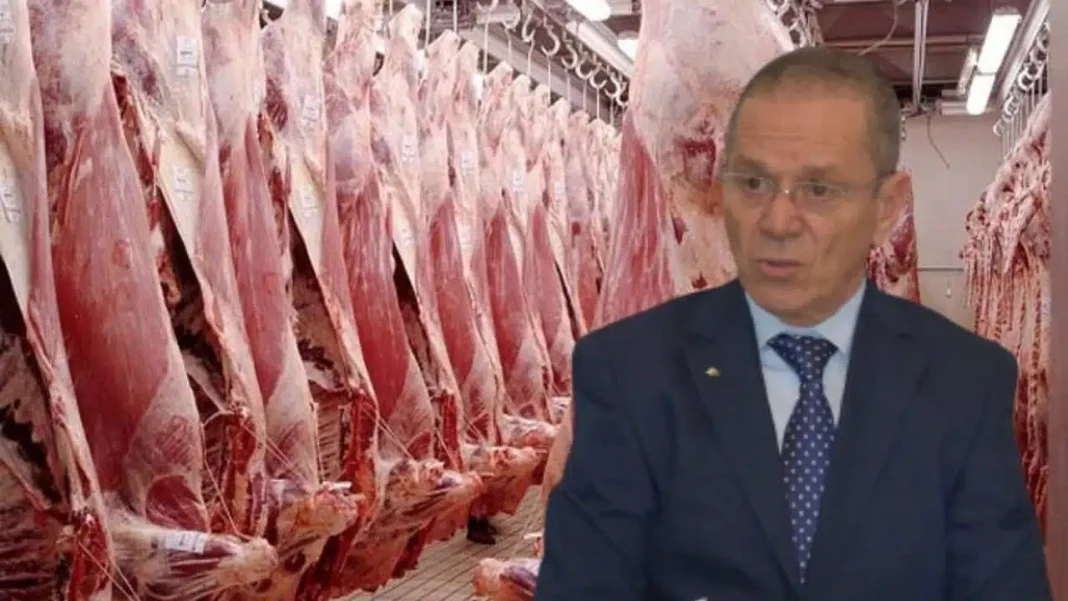 Arrivée de veaux brésiliens en Tunisie Veaux brésiliens fraîchement arrivés dans un abattoir tunisien.