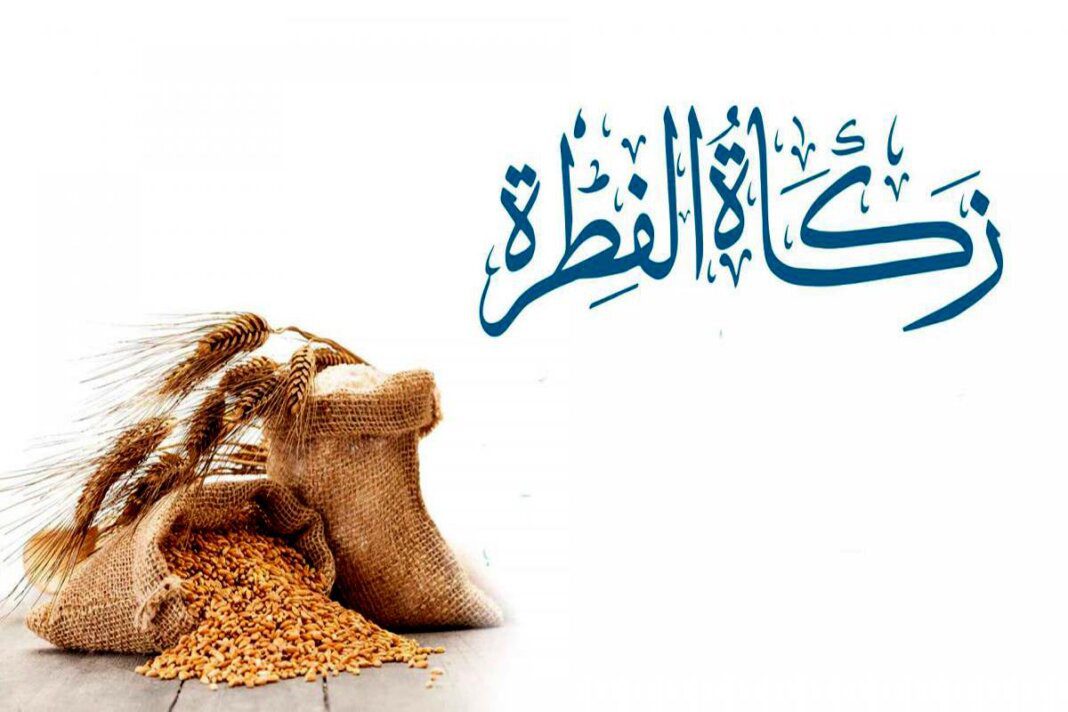 Voici le montant de la Zakât El Fitr 2023 en Algérie. Sac de blé avec une échelle de grains pour Zakat El Fitr 2023.