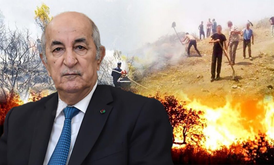 Algérie : 225 millions de dollars par an pour contrecarrer les catastrophes naturelles Personne en premier plan avec incendie de forêt en arrière-plan.