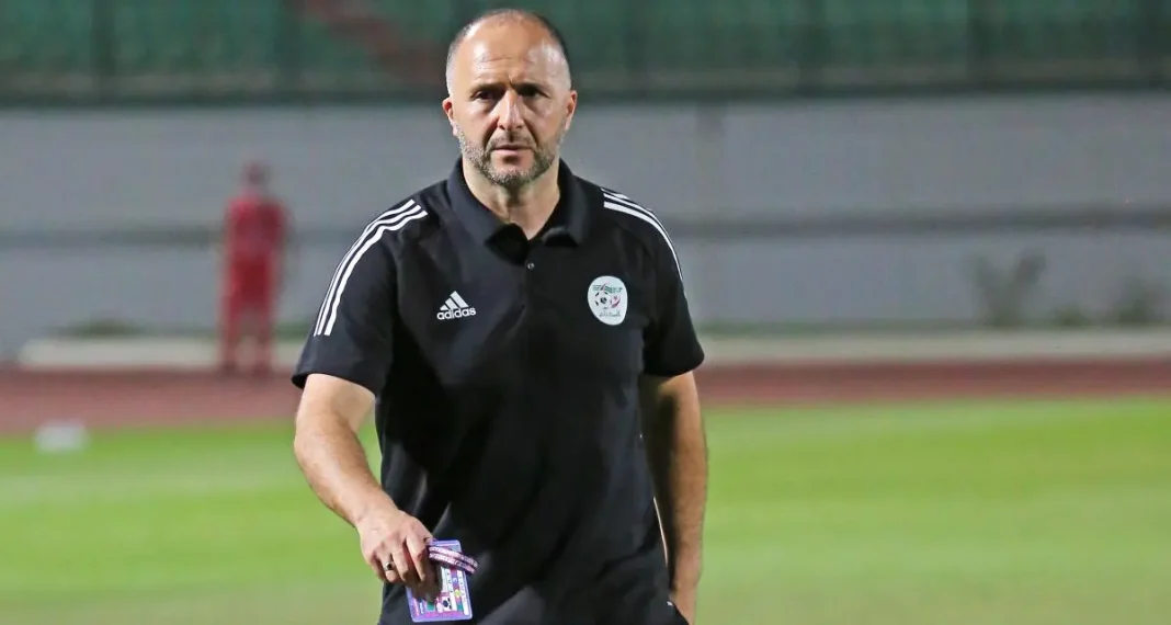Djamel Belmadi, entraîneur de l'équipe nationale algérienne, sur le terrain.