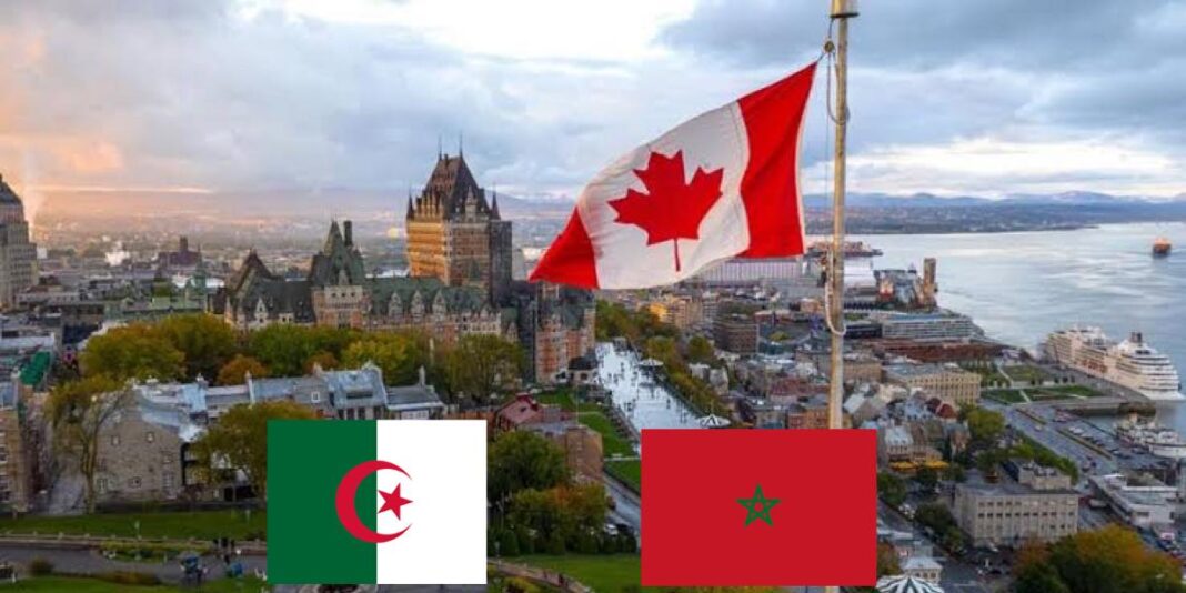 Le Canada exempte de visa le Maroc, mais laisse l’Algérie sur le carreau Drapeau du Canada et du Maroc flottant sur la ville de Montréal.