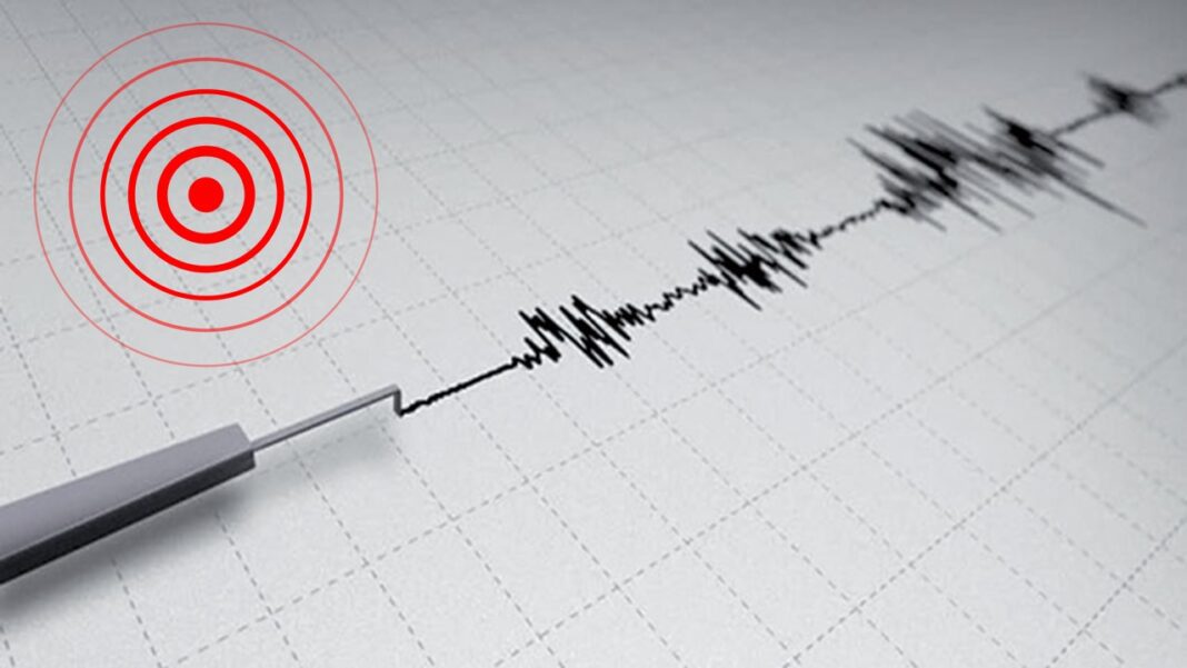 Séisme à Béjaïa le 19 juin 2023 Sismographe enregistrant un tremblement de terre à Béjaïa.