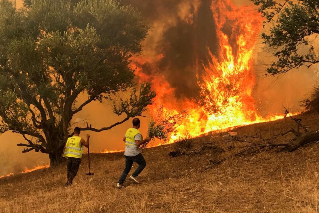 Incendie à Béjaïa Pompiers en action lors d'un incendie de forêt à Béjaïa.