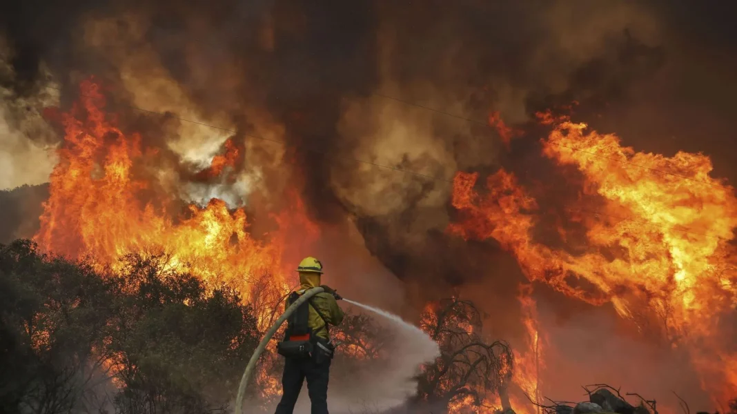 Incendie de forêt en Algérie Pompiers combattant un feu de forêt en Algérie.