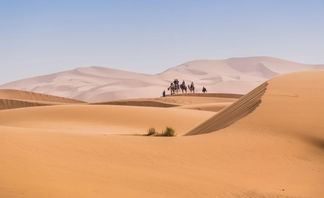 Maroc: cette destination fait partie des plus belles au monde Camélades traversant le désert du Sahara au Maroc.