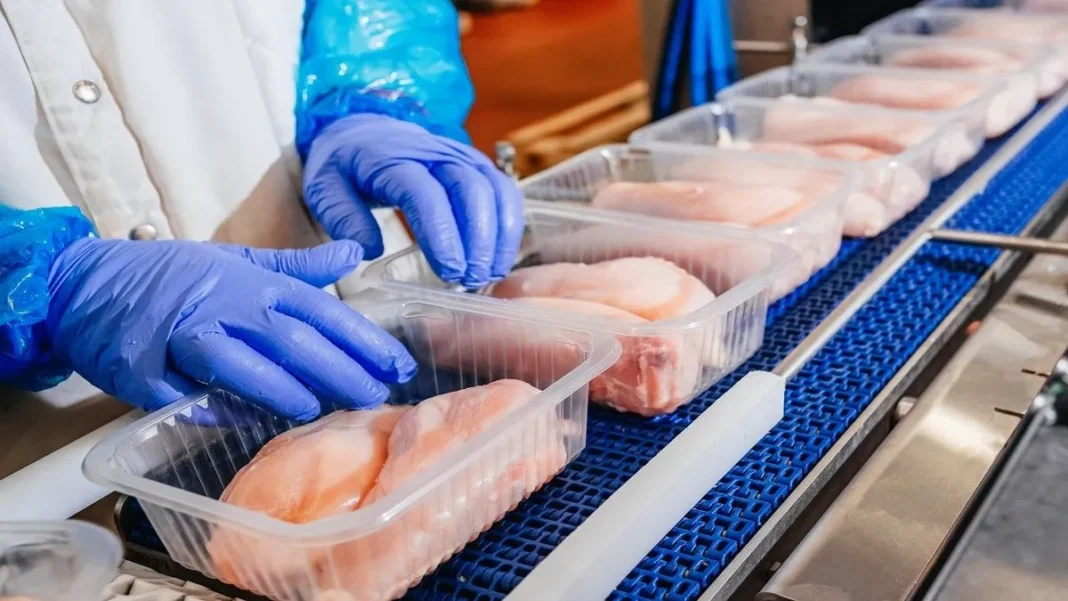 Poulet vert en Algérie : une révolution avicole qui connait un grand succès Poulets verts en Algérie, production avicole innovante et durable.
