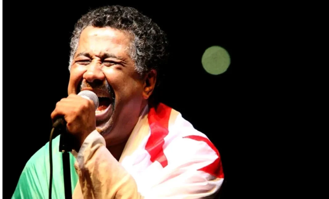 Maghrebactu - Chanteur en performance Chanteur passionné en pleine performance avec microphone.