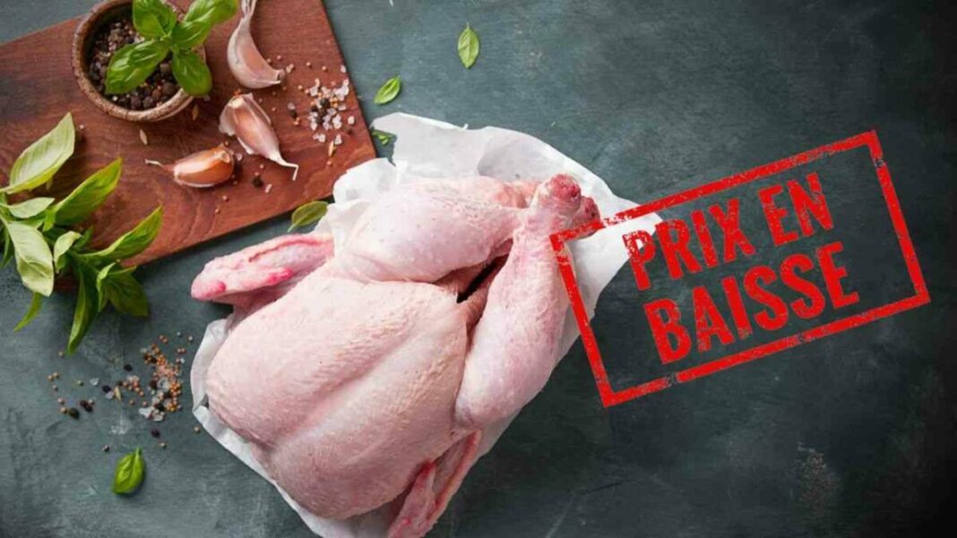 Baisse des prix de la viande blanche en Algérie : Soulagement pour les ménages Poulet frais avec étiquette de baisse de prix en Algérie.
