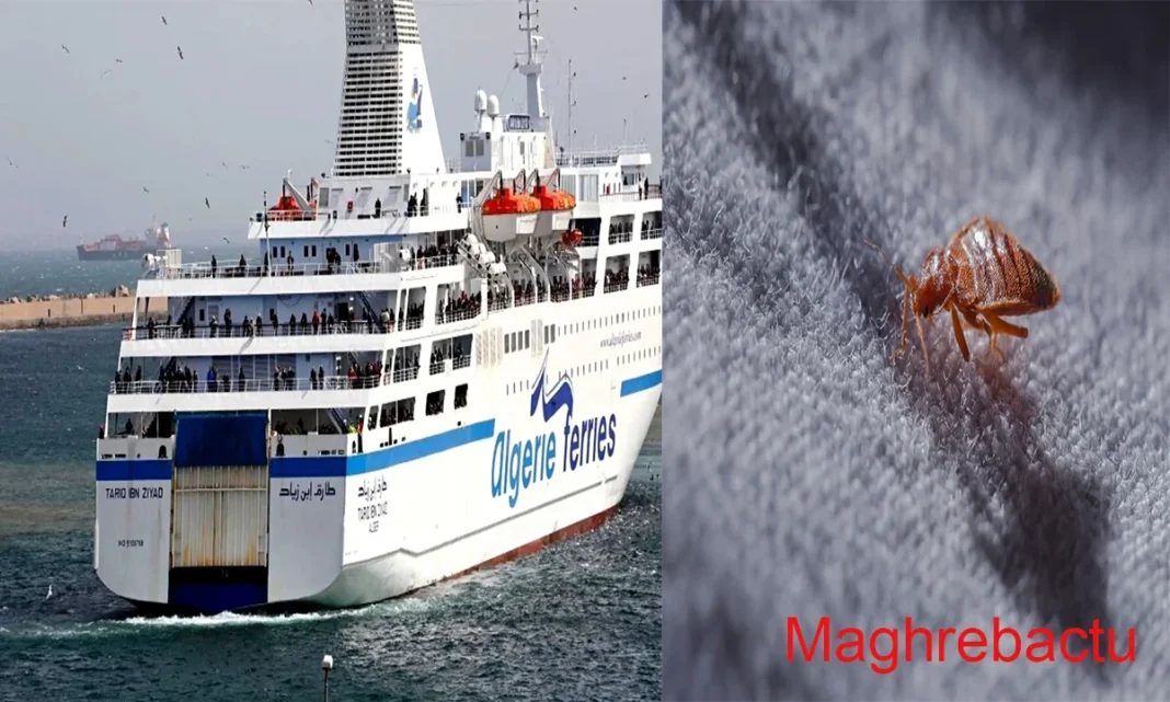 Ferry en Algérie et punaise de lit sur tissu.