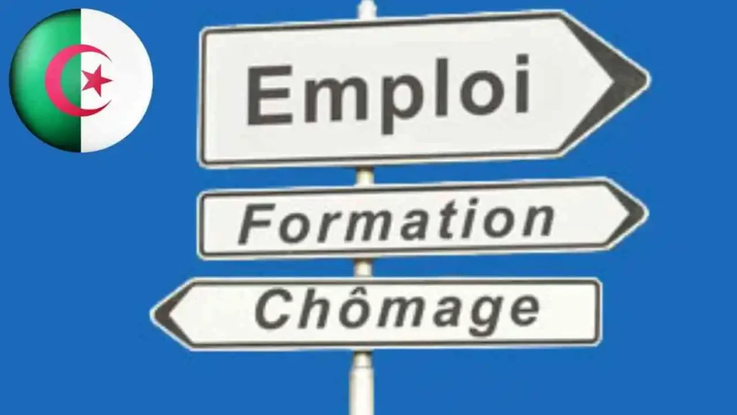 Formation Professionnelle en Algérie : le gouvernement donne une chance unique aux sans-emploi Panneaux indiquant emploi, formation et chômage en Algérie.