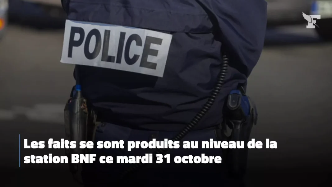 France: une femme voilée menace de tout faire sauter. Voici la réplique de la Police Agent de police avec badge 'POLICE' lors d'une intervention.