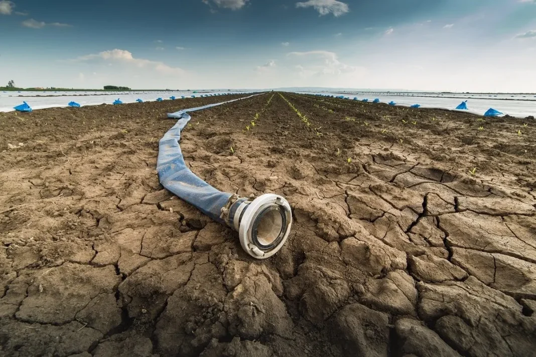 Sécheresse en Algérie: cri de détresse d’un cultivateur d’oliveraie Canal d'irrigation sec dans un champ aride en Algérie.