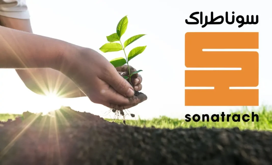 Sonatrach veut planter 420 millions d’arbres en une décennie Main tenant un jeune arbre en croissance, symbole de reforestation et de développement durable.