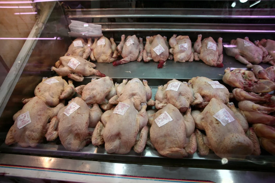 Prix du poulet en Algérie: vers une catastrophe historique Poulets brésiliens exposés dans une vitrine de supermarché en Algérie.