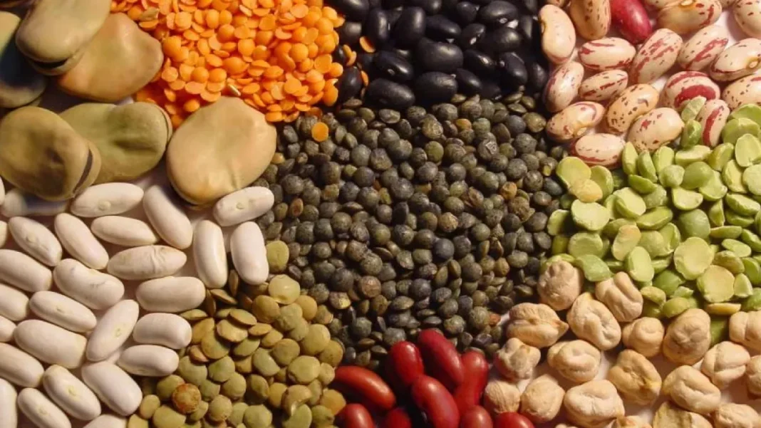 Légumes secs en Algérie : Découvrez la grande mesure du ministère de l’agriculture pour lutter contre la spéculation Variété de légumes secs et légumineuses en Algérie.
