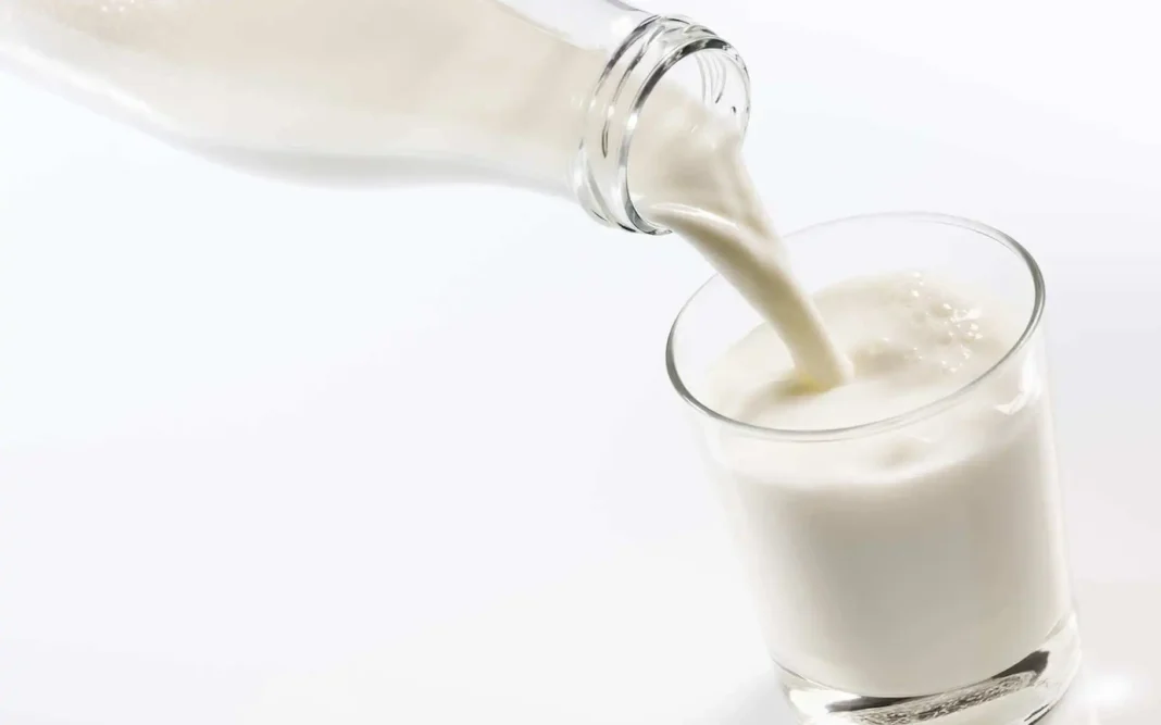 Lait frais versé dans un verre, production locale en Algérie.