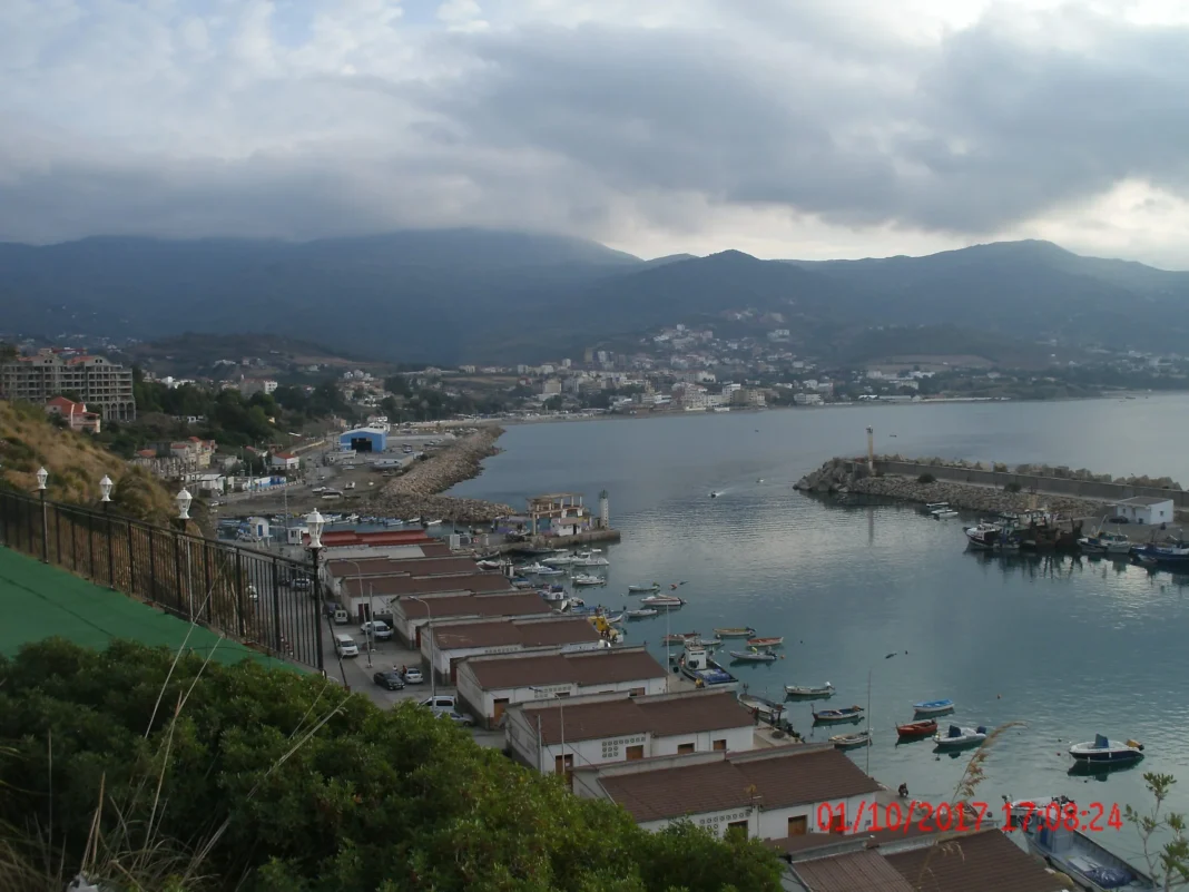 Tizi Ouzou: enfin, le projet d’installation de station de dessalement d’eau de mer se concrétise Vue du port de Tizi Ouzou avec montagnes en arrière-plan.