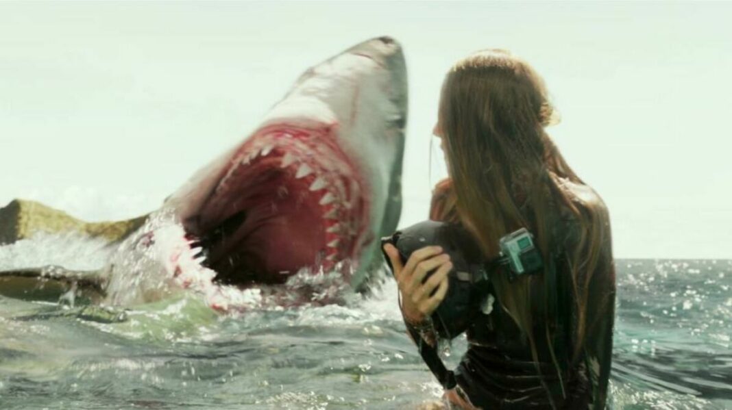 Baigneur face à un requin en mer, scène de survie extrême.