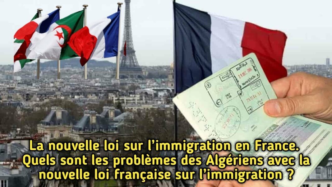 Drapeaux algérien et français avec passeport et billet d'avion.